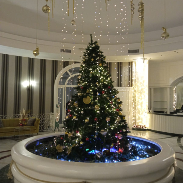 La hall a Natale